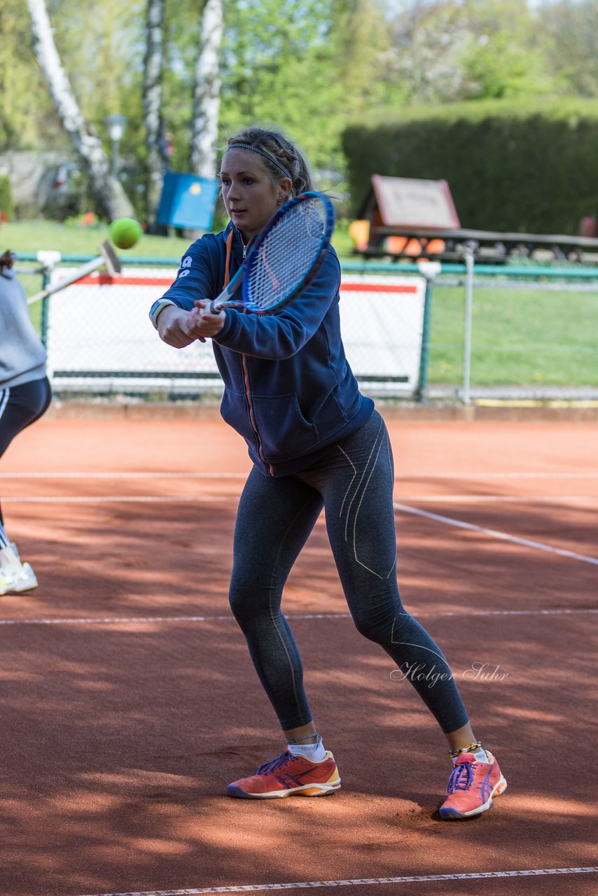 Bild 299 - VL Marienthaler THC - THC von Horn und Hamm